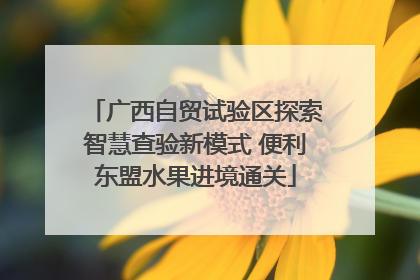 广西自贸试验区探索智慧查验新模式 便利东盟水果进境通关