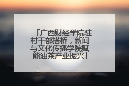 广西财经学院驻村干部搭桥，新闻与文化传播学院赋能油茶产业振兴