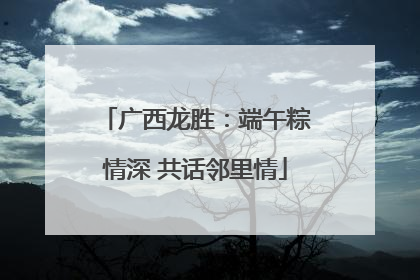 广西龙胜：端午粽情深 共话邻里情