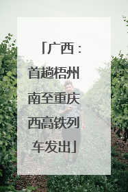 广西：首趟梧州南至重庆西高铁列车发出