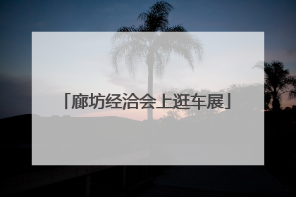 廊坊经洽会上逛车展