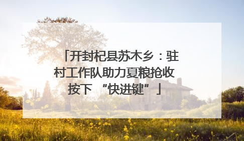 开封杞县苏木乡：驻村工作队助力夏粮抢收按下 “快进键”