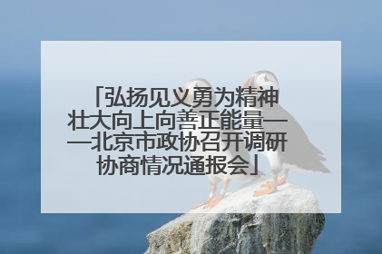弘扬见义勇为精神 壮大向上向善正能量——北京市政协召开调研协商情况通报会