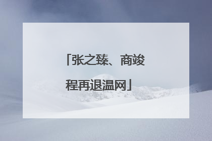 张之臻、商竣程再退温网