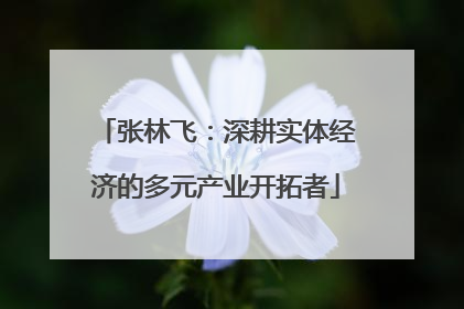 张林飞：深耕实体经济的多元产业开拓者