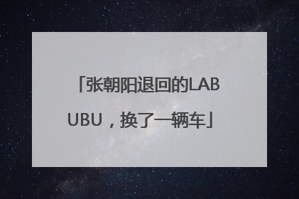 张朝阳退回的LABUBU，换了一辆车