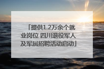 提供1.2万余个就业岗位 四川退役军人及军属招聘活动启动