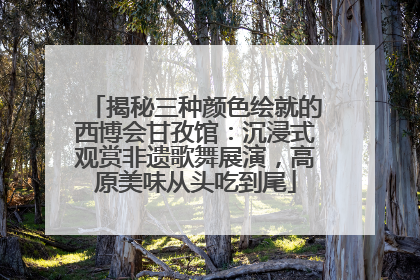 揭秘三种颜色绘就的西博会甘孜馆：沉浸式观赏非遗歌舞展演，高原美味从头吃到尾