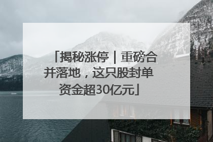 揭秘涨停｜重磅合并落地，这只股封单资金超30亿元