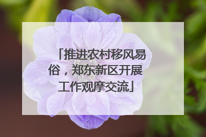 推进农村移风易俗，郑东新区开展工作观摩交流
