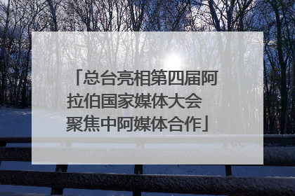 总台亮相第四届阿拉伯国家媒体大会 聚焦中阿媒体合作