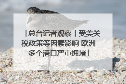 总台记者观察丨受美关税政策等因素影响 欧洲多个港口严重拥堵