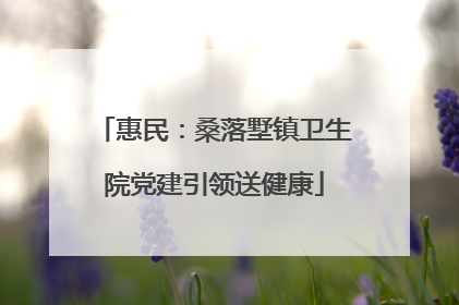 惠民：桑落墅镇卫生院党建引领送健康