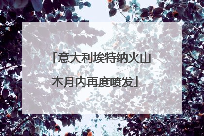 意大利埃特纳火山本月内再度喷发
