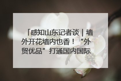 感知山东记者谈｜墙外开花墙内也香！“外贸优品”打通国内国际市场“旋转门”