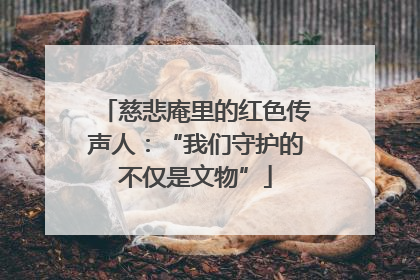 慈悲庵里的红色传声人：“我们守护的不仅是文物”