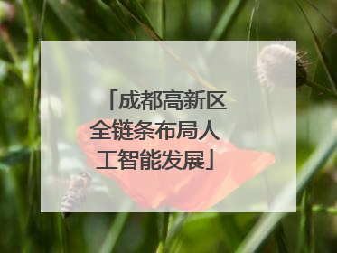 成都高新区全链条布局人工智能发展