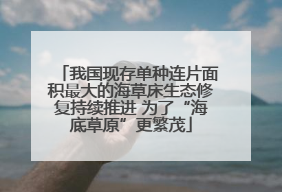 我国现存单种连片面积最大的海草床生态修复持续推进 为了“海底草原”更繁茂