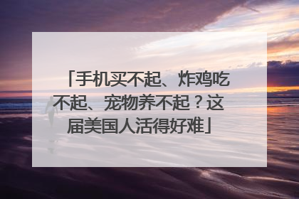手机买不起、炸鸡吃不起、宠物养不起？这届美国人活得好难