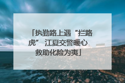 执勤路上遇“拦路虎” 江夏交警暖心救助化险为夷