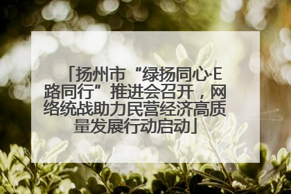 扬州市“绿扬同心·E路同行”推进会召开，网络统战助力民营经济高质量发展行动启动