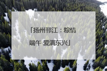 扬州邗江：粽情端午 爱满东兴