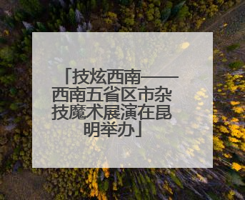 技炫西南——西南五省区市杂技魔术展演在昆明举办
