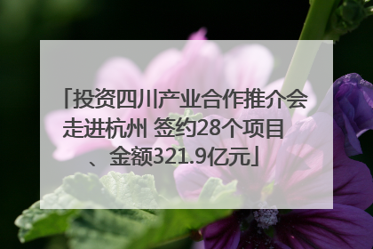 投资四川产业合作推介会走进杭州 签约28个项目、金额321.9亿元