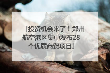 投资机会来了！郑州航空港区集中发布28个优质商贸项目