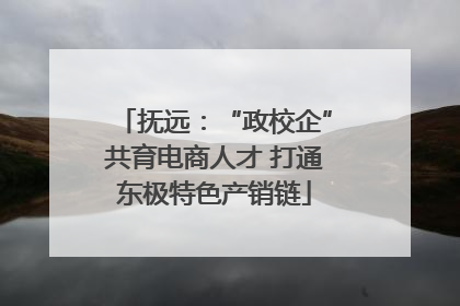 抚远：“政校企”共育电商人才 打通东极特色产销链