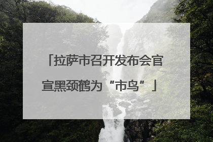 拉萨市召开发布会官宣黑颈鹤为“市鸟”