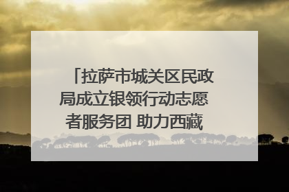拉萨市城关区民政局成立银领行动志愿者服务团 助力西藏银发经济发展