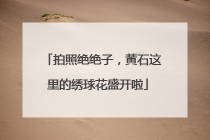 拍照绝绝子，黄石这里的绣球花盛开啦