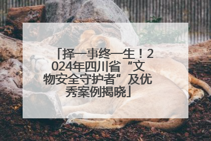 择一事终一生！2024年四川省“文物安全守护者”及优秀案例揭晓