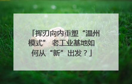 挥刃向内重塑“温州模式” 老工业基地如何从“新”出发？