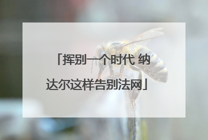 挥别一个时代 纳达尔这样告别法网