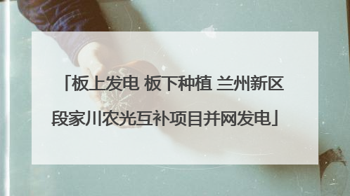 板上发电 板下种植 兰州新区段家川农光互补项目并网发电