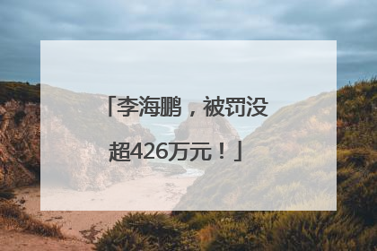李海鹏，被罚没超426万元！