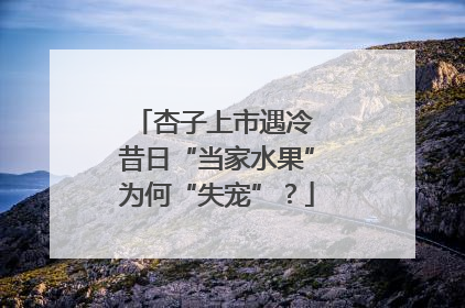 杏子上市遇冷 昔日“当家水果”为何“失宠”？