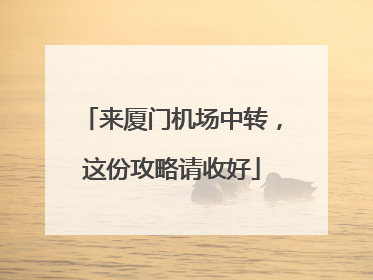 来厦门机场中转，这份攻略请收好