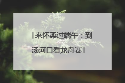 来怀柔过端午：到汤河口看龙舟赛