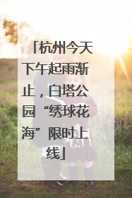 杭州今天下午起雨渐止，白塔公园“绣球花海”限时上线