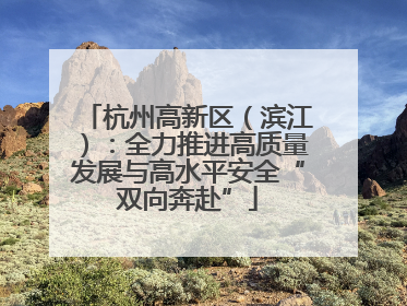 杭州高新区（滨江）：全力推进高质量发展与高水平安全“双向奔赴”