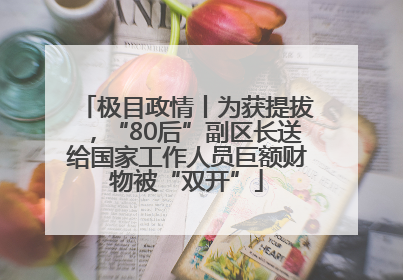 极目政情丨为获提拔，“80后”副区长送给国家工作人员巨额财物被“双开”