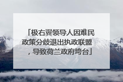 极右翼领导人因难民政策分歧退出执政联盟，导致荷兰政府垮台