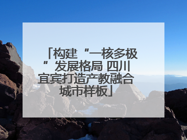 构建“一核多极”发展格局 四川宜宾打造产教融合城市样板