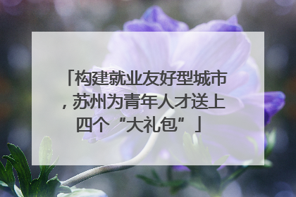 构建就业友好型城市，苏州为青年人才送上四个“大礼包”