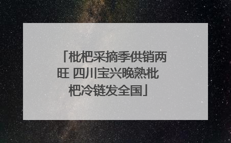 枇杷采摘季供销两旺 四川宝兴晚熟枇杷冷链发全国