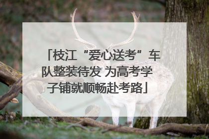 枝江“爱心送考”车队整装待发 为高考学子铺就顺畅赴考路