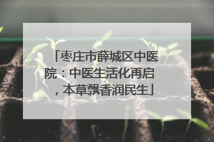 枣庄市薛城区中医院：中医生活化再启，本草飘香润民生